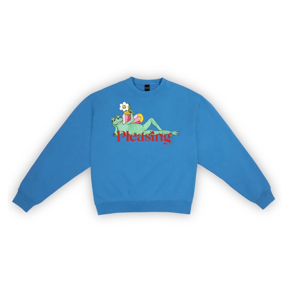 Pleasing frog crewneck in sky blue